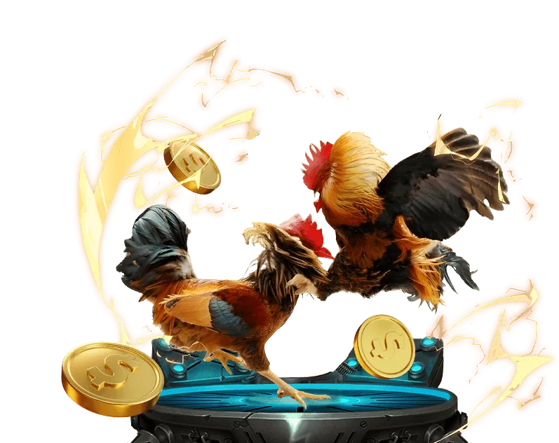 Đá gà Thomo Campuchia